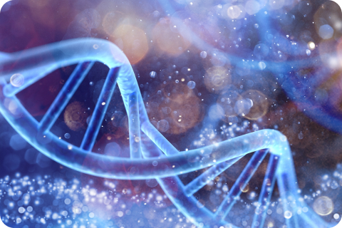 Gene structure