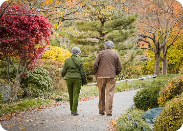 View from behind of two elderly people walking along wooded path